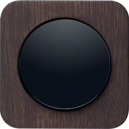 Dąb, barwione drewno / Tworzywo, czarny połysk