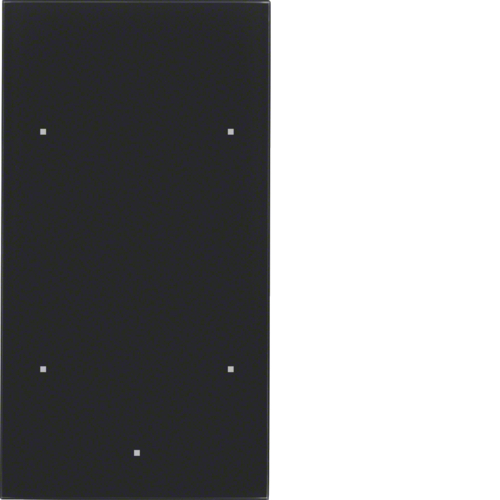 168205 TS Sensor szklany dotykowy 2-krotny,  szkło,  czarny